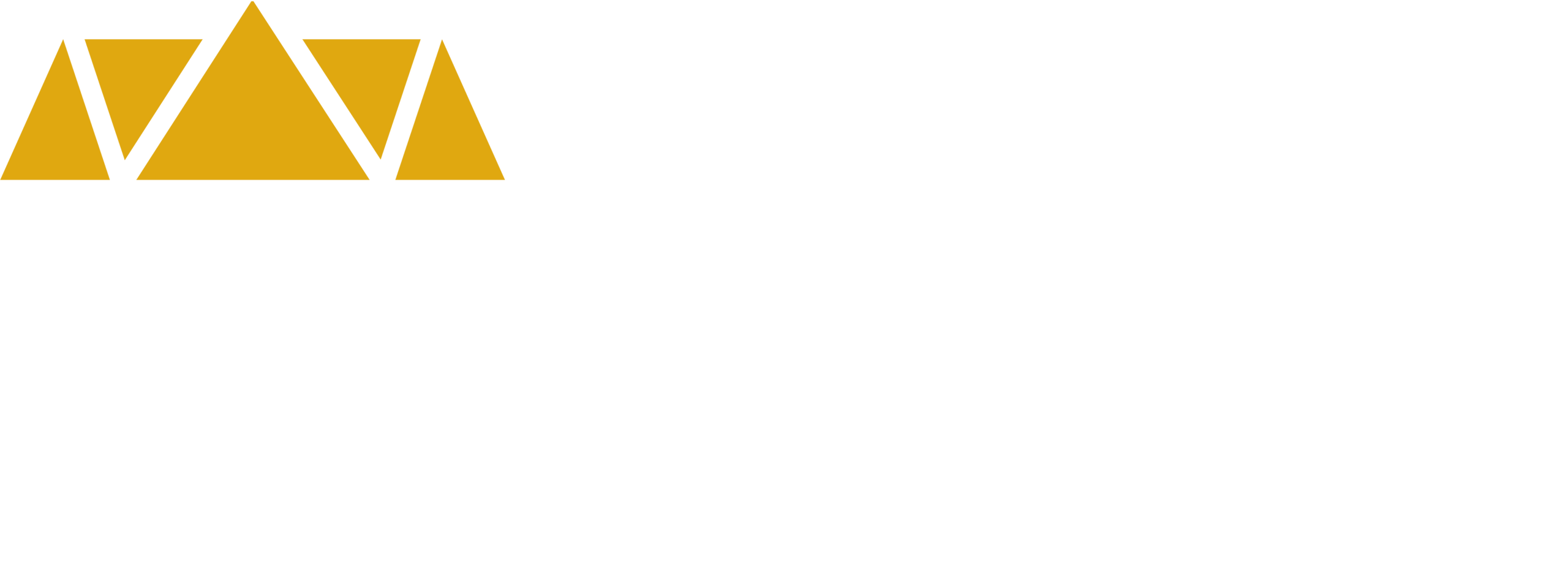 sanjab-marketing-agency-gold-white